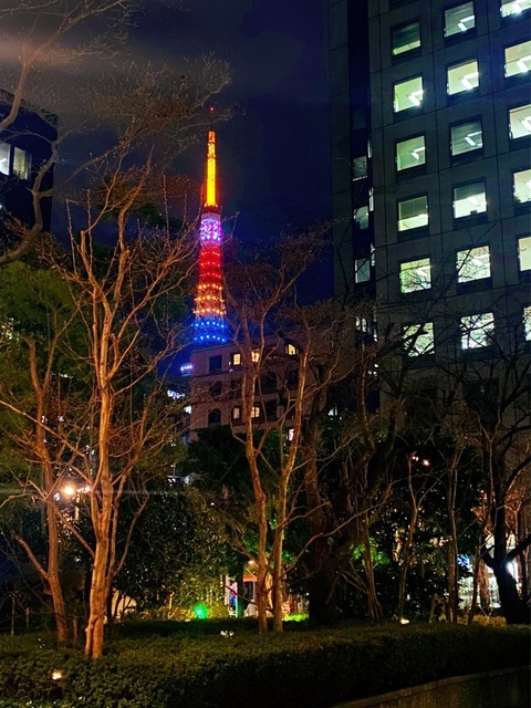 IMG_2810.jpeg